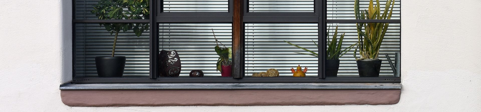Fensterbrett mit Pflanzen und Ente